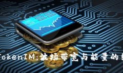 深入理解TokenIM：波场带宽